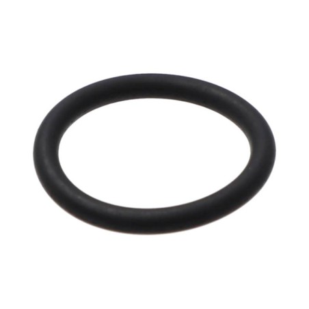 FRONIUS O-Ring ø18,5x2,5mm FKM 70 - 42,0300,3109 -  - 9007947199560 - 0,20 € - 