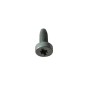 Fronius - Tornillo M5x12 Torx Gr