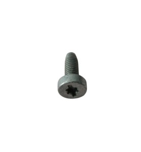 Fronius - Tornillo M5x12 Torx Gr 42,0401,1118 9007946914027