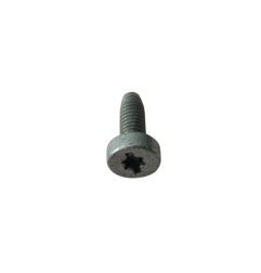 Fronius - Tornillo M5x12 Torx Gr 42,0401,1118 9007946914027