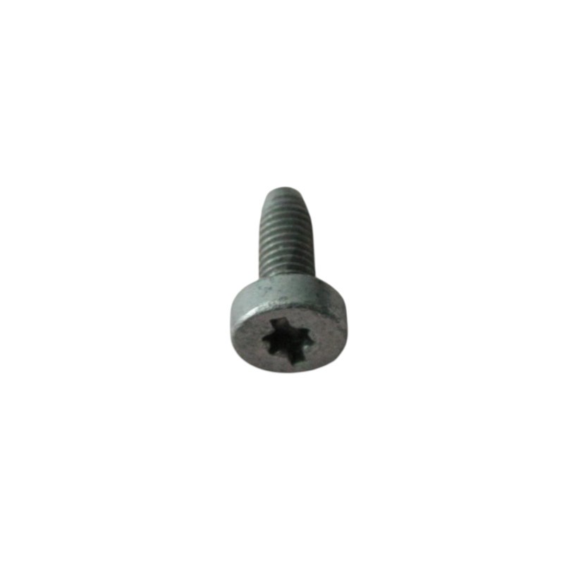 Fronius - Tornillo M5x12 Torx Gr