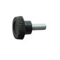 Tornillo moleteado Fronius BPF83410Baz-M4x10